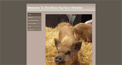 Desktop Screenshot of micropigfarm.co.uk